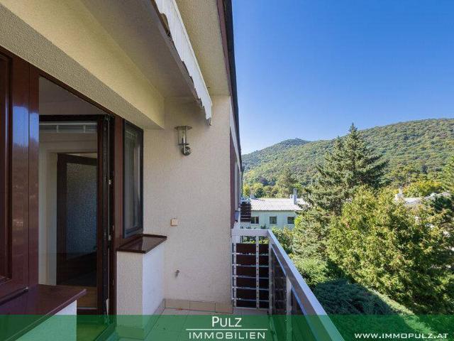 Apartment kaufen in Katastralgemeinde Hinterbrühl, Hinterbrühl