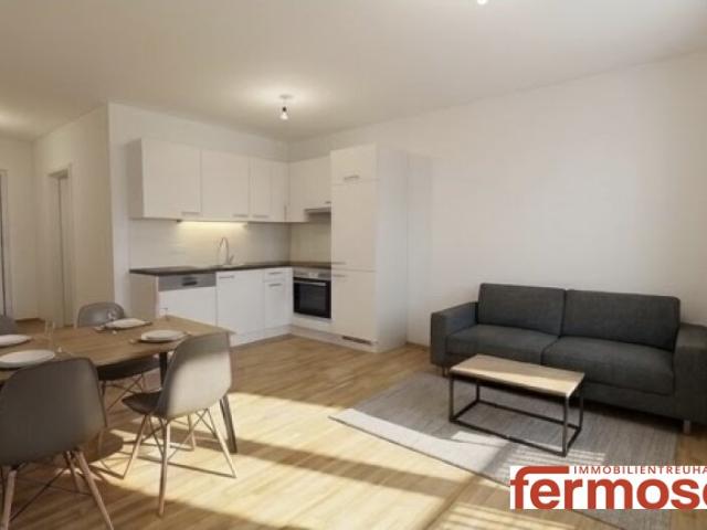 Terrassenwohnung mieten in Brigittenau, Wien