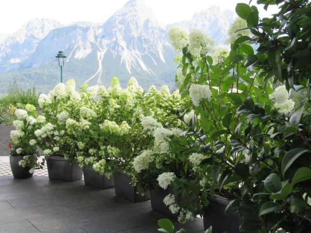 Apartment mieten in Lermoos, Tirol