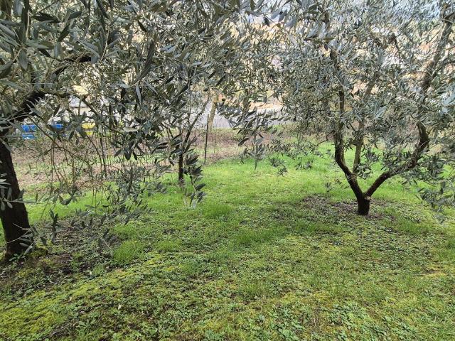 Villa Indipendente in vendita a Migliarina, Bucine