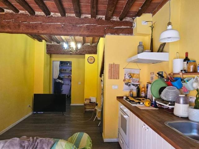 Villa Indipendente in vendita a Parezzana, Capannori