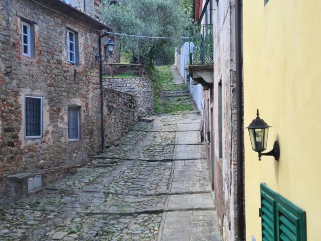 Villa Indipendente in vendita a Paganico, Capannori