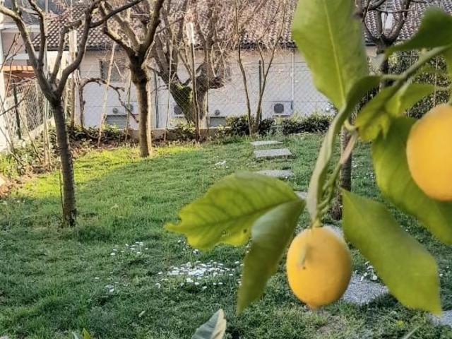 Villa Indipendente in vendita a Carmignano, Comeana