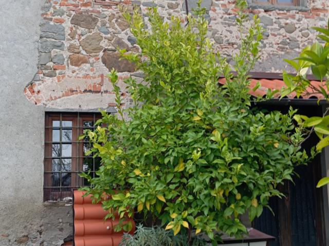 Villa Indipendente in vendita a Montecatini Terme, Toscana