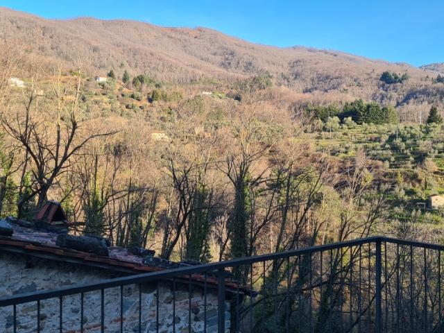 Villa Indipendente in vendita a Uzzano E Castello, Pistoia