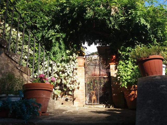 Villa Indipendente in vendita a Uzzano E Castello, Toscana