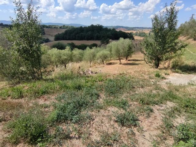 Villa Indipendente in vendita a La Bicocca, Siena
