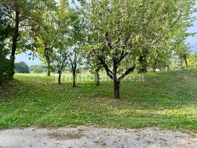 Villa Indipendente in affitto a Niella Tanaro, Cuneo