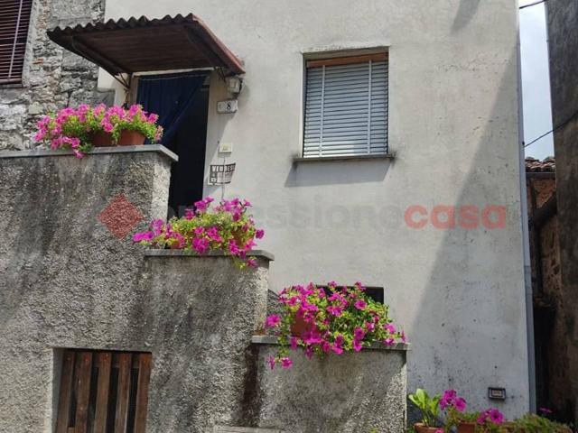 Casa in vendita a Unione dei comuni Media Valle del Serchio, Borgo A Mozzano