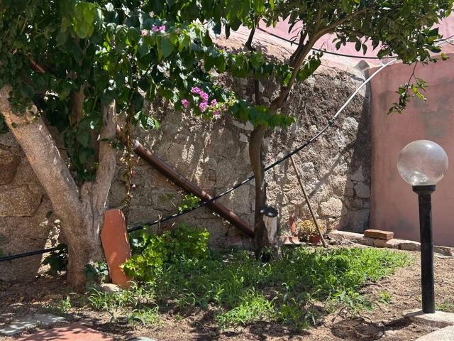 Casa in vendita a Santa Teresa Gallura, Sardigna/Sardegna