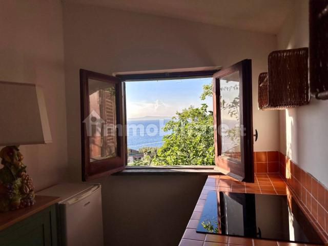 Villa Indipendente in affitto a Comunità montana della valle Camonica, Angolo Terme