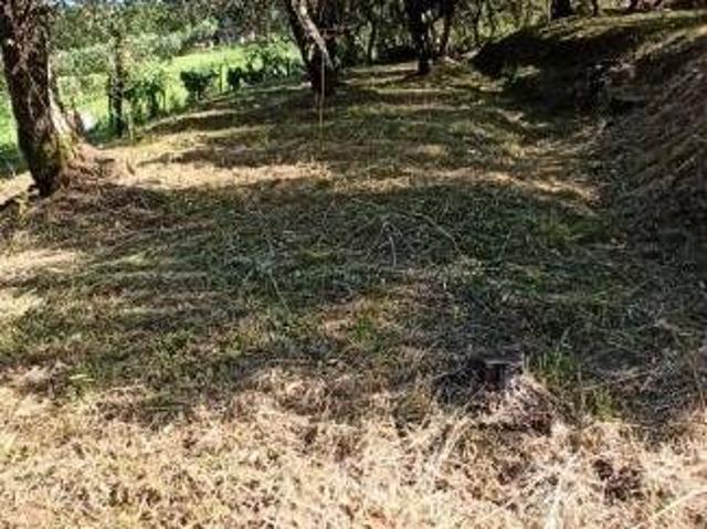 Villa Indipendente in affitto a Quarrata, Toscana