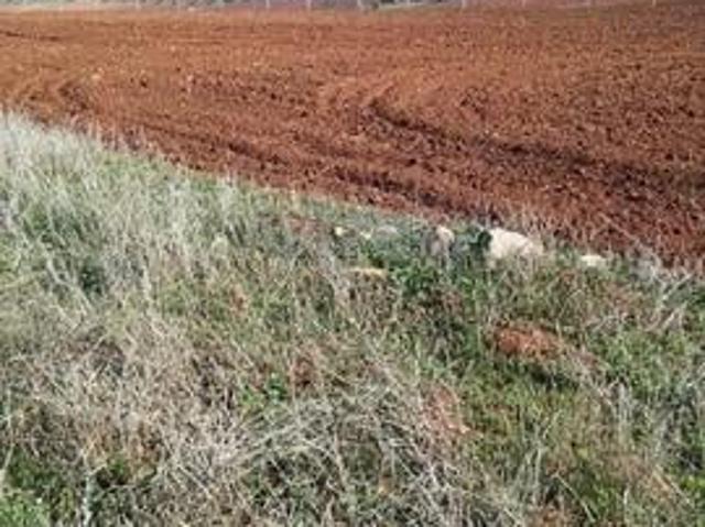Propriété location à Ain Taoujdat