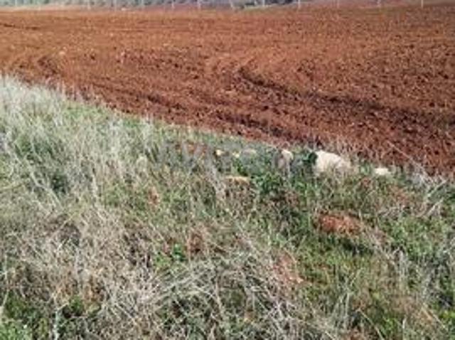 Propriété location à Ain Taoujdat