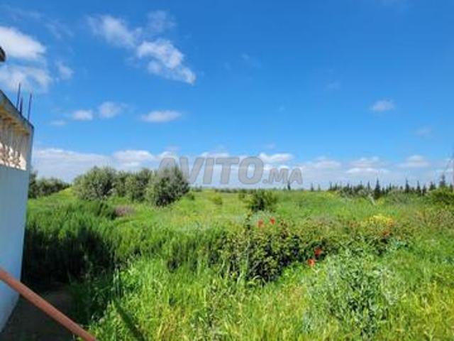 Propriété vente à Gharb-Chrarda-Beni Hssen