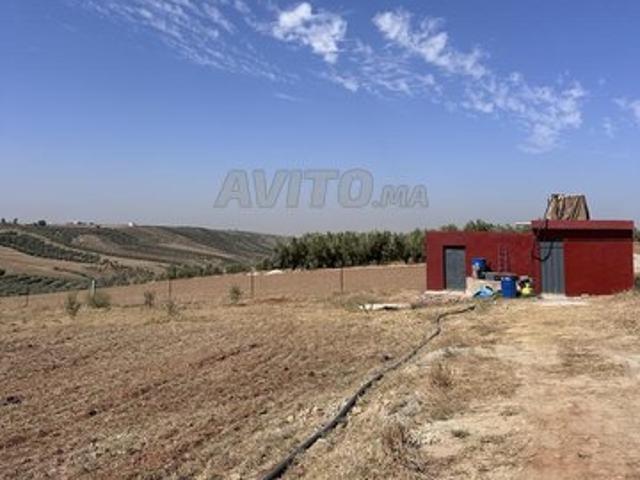 Propriété vente à Meknès