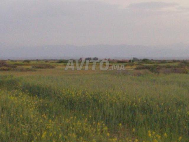Propriété vente à Agadir, Oued ed Dahab-Lagouira