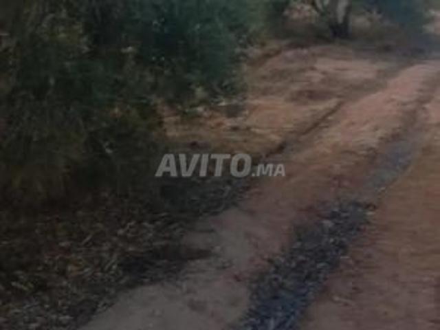 Propriété vente à Chichaoua, L'Oriental