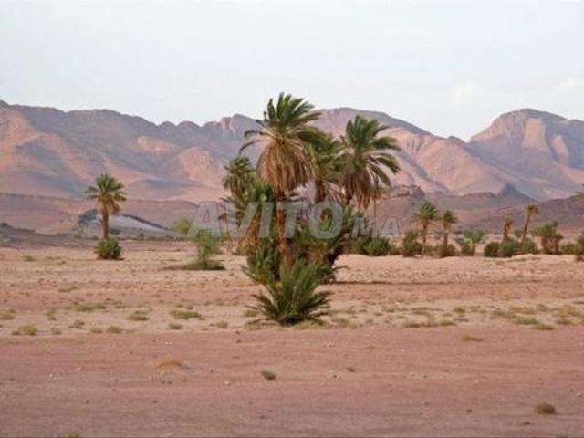 Propriété vente à Tata, Oued ed Dahab-Lagouira