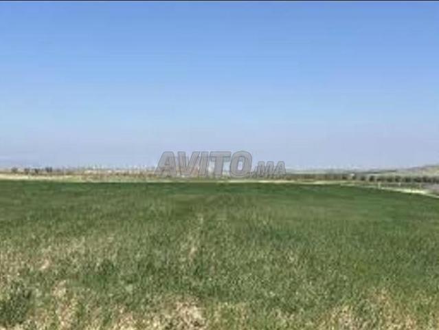 Propriété vente à El Ma, Gharb-Chrarda-Beni Hssen