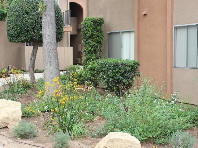 Apartment for rent in California