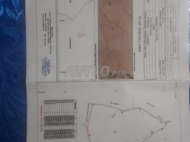 Propriété vente à L'Oriental