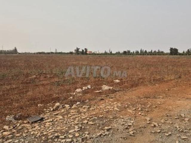 Propriété vente à Berkane