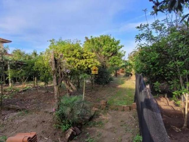 Terreno venda em São Leopoldo