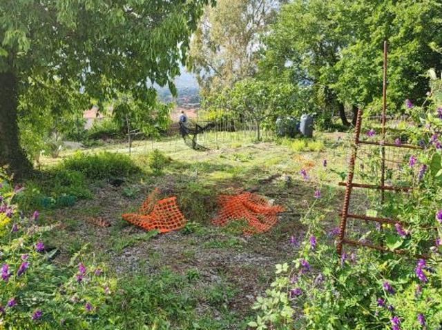 Terreno in vendita a Morgioni, Valverde