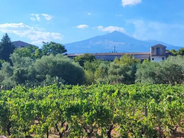 Terreno in vendita a Morgioni, Valverde
