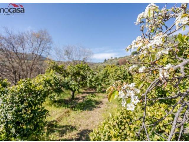 Local Comercial en venta en Valle del Almanzora, Andalucía