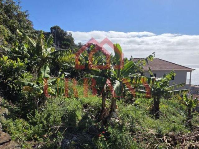 Terreno venda em Santa Cruz, Ilha Da Madeira