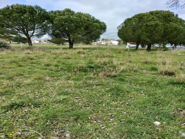 Terreno venda em Bairro da Cartuxa, Évora