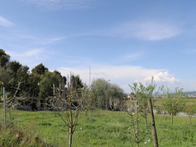 Terreno venda em Felgueiras, Pedreira