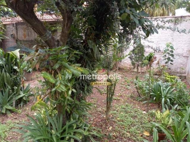 Terreno venda em São Caetano do Sul