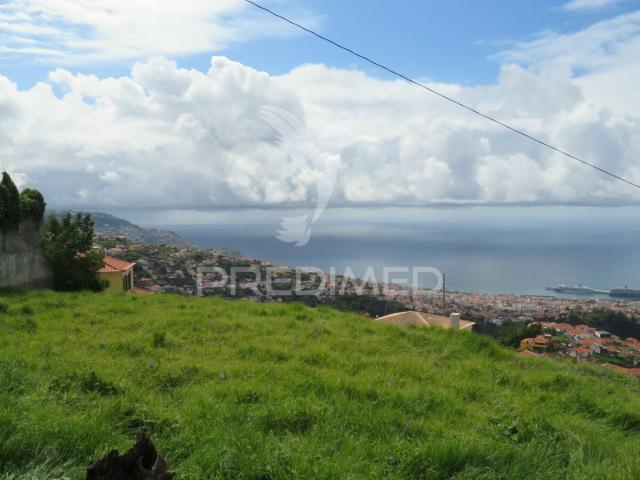 Terreno venda em São Roque, Funchal