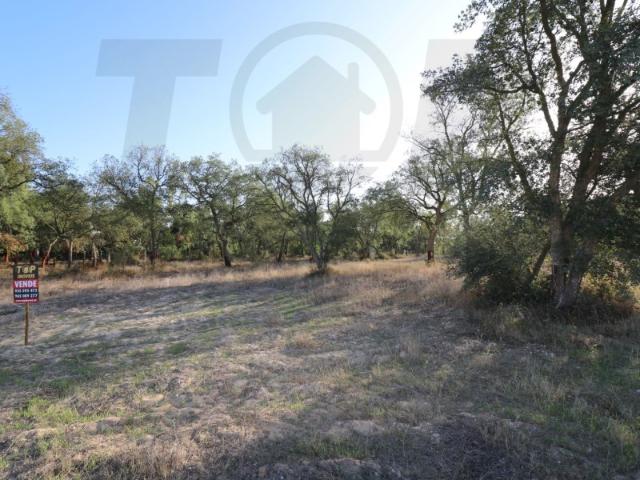Terreno venda em Salvaterra De Magos, Santarém