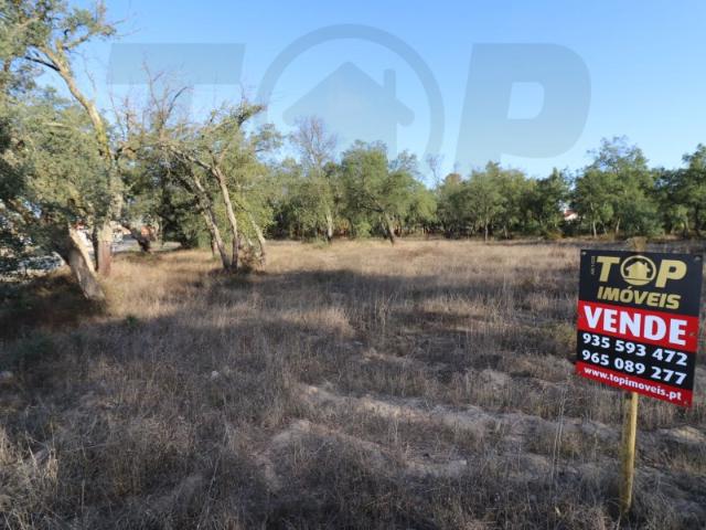 Terreno venda em Salvaterra De Magos, Santarém