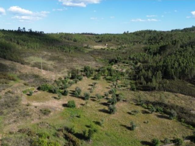 Terreno venda em Castelo Branco