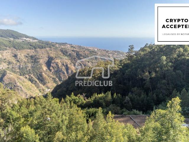 Terreno venda em Ribeira Brava, Ilha Da Madeira