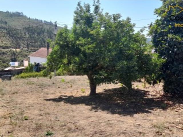 Terreno venda em Castelo Branco, Vila De Rei