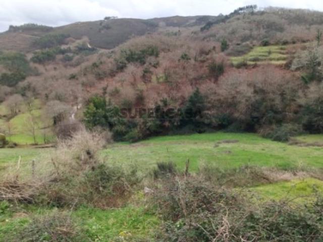 Terreno venda em Grovelas São João Evangelista, Viana Do Castelo