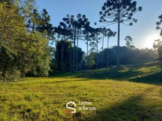 Terreno venda em Ferraria, Campo Largo