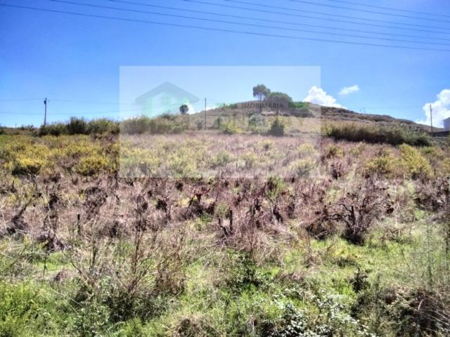 Terreno venda em Torres Vedras, Lisboa