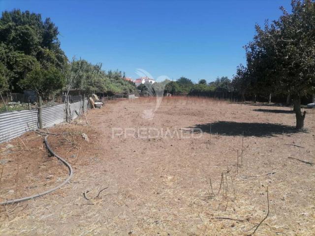 Terreno venda em Portalegre