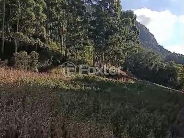 Terreno venda em Região Geográfica Imediata de Taquara - Parobé - Igrejinha, Riozinho