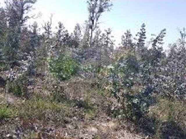 Terreno venda em Sátão, Viseu