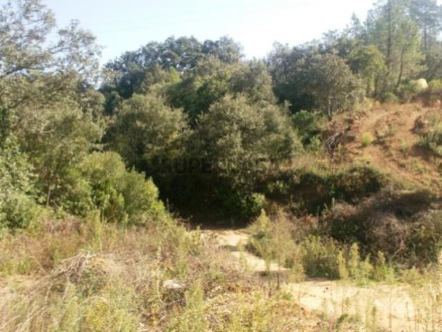 Terreno venda em Tomar, Santarém