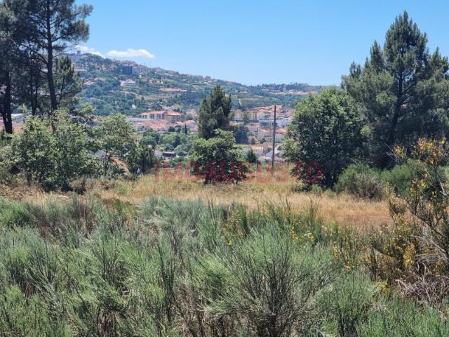 Terreno venda em Guarda