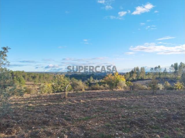 Terreno venda em Castelo Branco